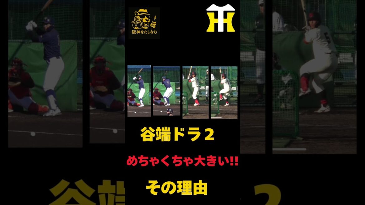 徹底考察🔥谷端将伍は常勝軍団の大きなピースになり得る‼️牧、西川、森下と比較‼️#阪神タイガース #谷端将伍 #キャムデバニー #立石 守備位置 #阪神 考察#阪神 打順#阪神 ルーカス#阪神 補強 徹底考察🔥谷端将伍は常勝軍団の大きなピースになり得る‼️牧、西川、森下と比較‼️#阪神タイガース #谷端将伍 #キャムデバニー #立石 守備位置 #阪神 考察#阪神 打順#阪神 ルーカス#阪神 補強