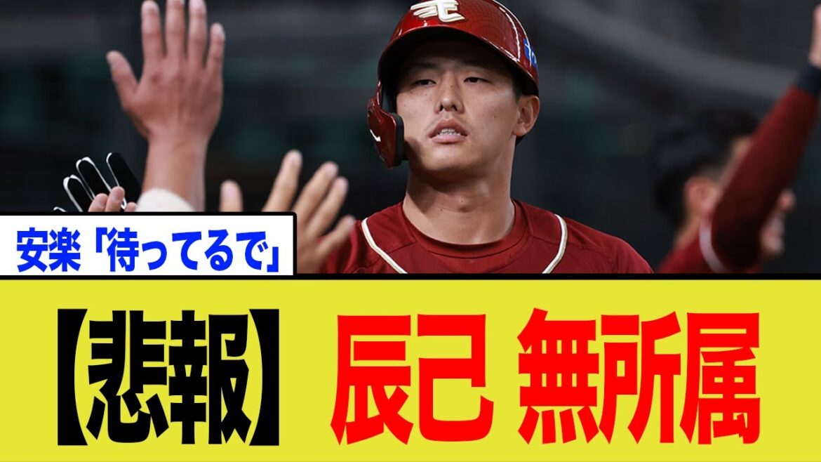 【悲報】辰己外野手、無所属