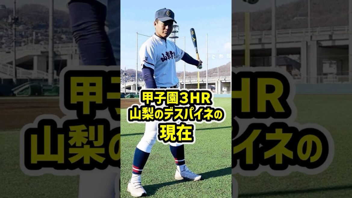 山梨のデスパイネと呼ばれた男の現在 #高校野球 #甲子園 #野球