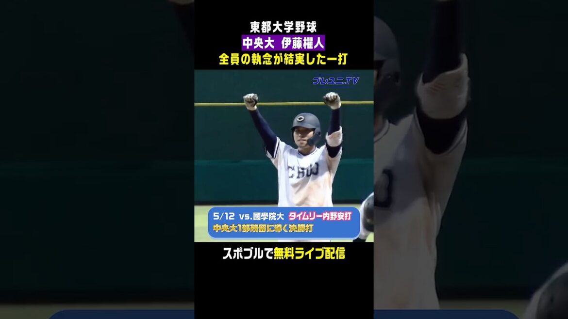 【中央大1部残留決定】大学OBの牧秀悟の後を担う!? 伊藤櫂人(中央大)が執念の一打 #東都大学野球  #伊藤櫂人  #大阪桐蔭