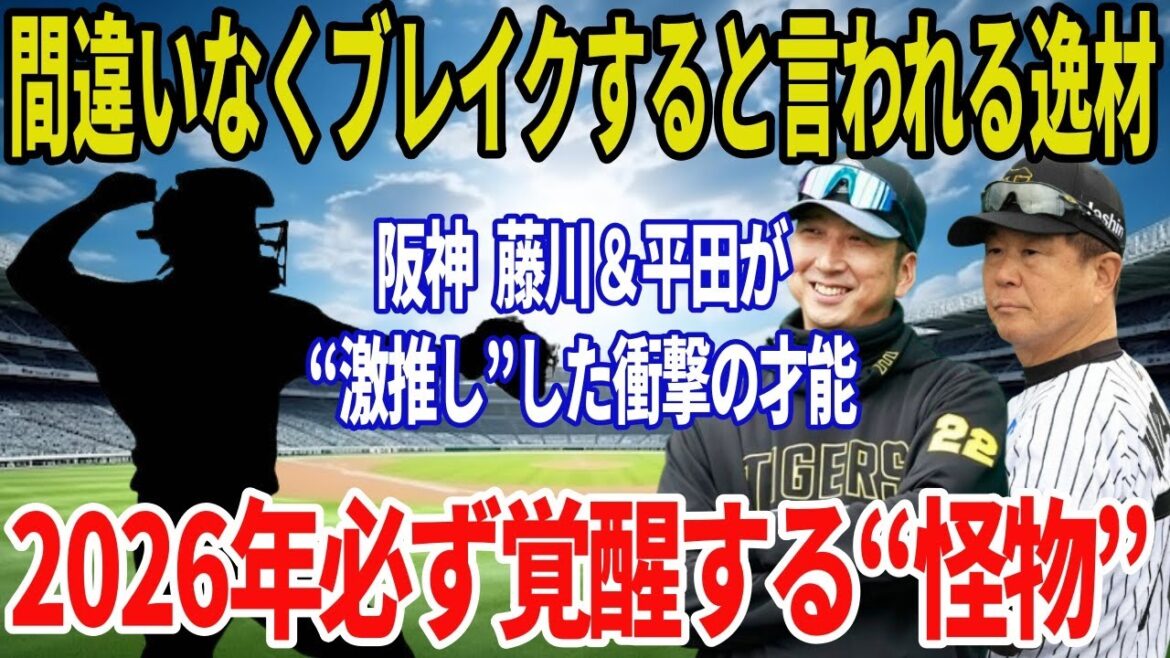 【阪神タイガース】藤川監督&平田二軍監督が断言──2026年“必ず覚醒する怪物”の正体とは? 【阪神タイガース】藤川監督&平田二軍監督が断言──2026年“必ず覚醒する怪物”の正体とは?