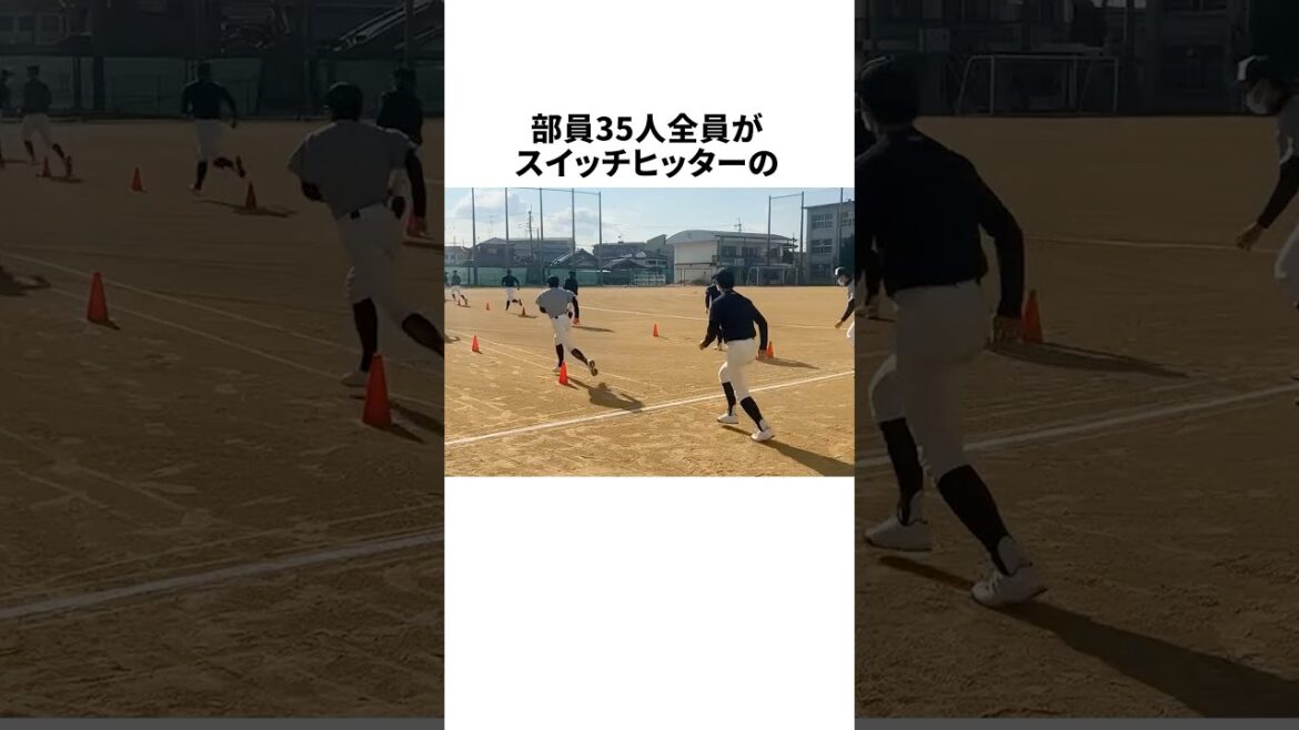 全員がスイッチヒッター・大阪府立佐野高校 #野球 #野球雑学 #高校野球