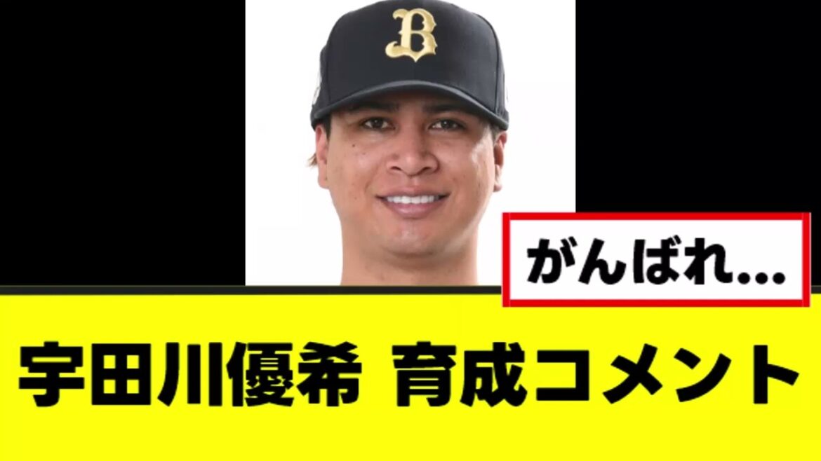 【宇田川優希】育成契約でガチで辛いコメントを残す