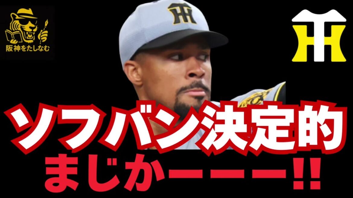 ティプランティエがソフトバンク決定的‼️マジかーーーー‼️　　　#阪神タイガース＃ティプランティエ#阪神　考察＃キャムデバニー#阪神　外国人＃新外国人候補　2026＃ティプランティエ　ソフトバンク