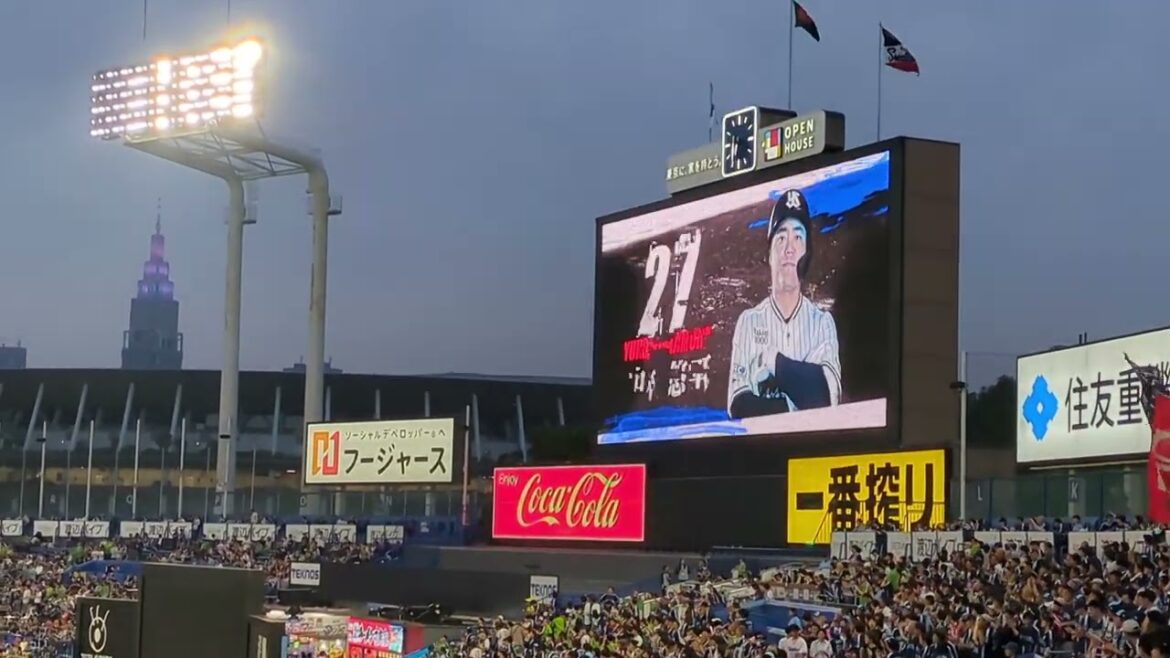 2025 東京ヤクルトスワローズ 中村悠平 登場曲『ライラック』