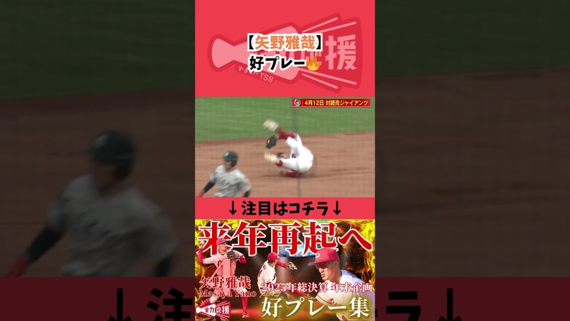 矢野雅哉好プレー🔥【球団認定】カープ全力応援チャンネル 矢野雅哉好プレー🔥【球団認定】カープ全力応援チャンネル