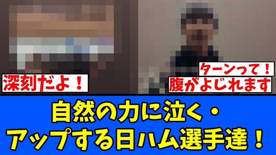 【泣W】自然の力に泣く・アップする日ハム選手達！