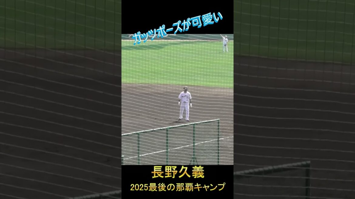 【引退】長野久義のガッツポーズが可愛い #長野久義 #引退