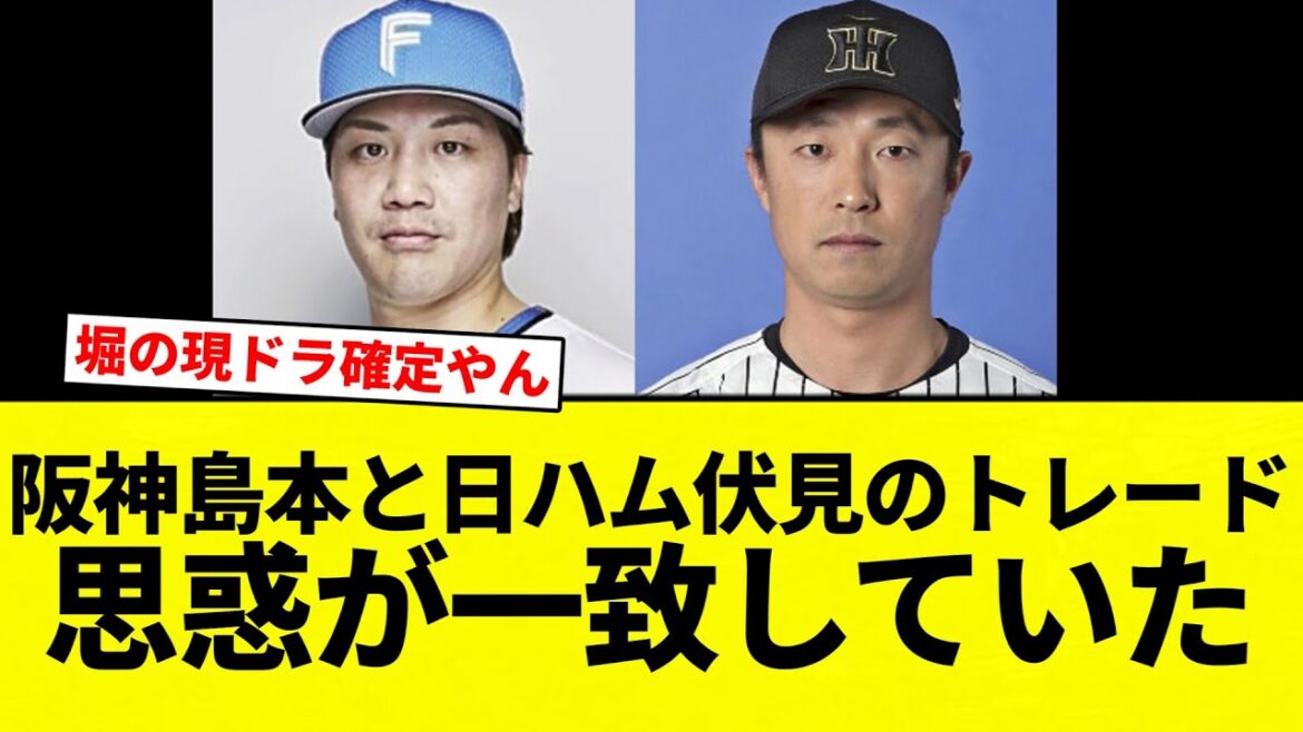 【一致してんねん！】阪神島本と日ハム伏見のトレード思惑が一致していた【プロ野球反応集】【2chスレ】【なんG】