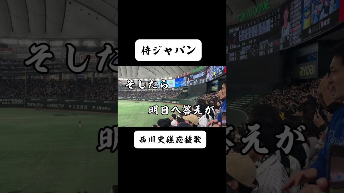 【侍ジャパン】西川史礁応援歌#侍ジャパン #侍japan #応援歌 #西川史礁 #千葉ロッテマリーンズ #baseball #プロ野球 #shoto