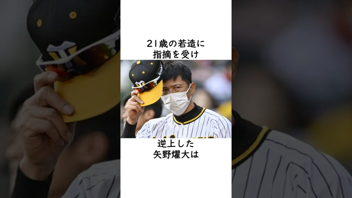 【矢野燿大】21歳の若造に逆上してしまう… #サイン盗み #村上宗隆 #近本光司 #絶対大丈夫 #高津監督 【矢野燿大】21歳の若造に逆上してしまう… #サイン盗み #村上宗隆 #近本光司 #絶対大丈夫 #高津監督