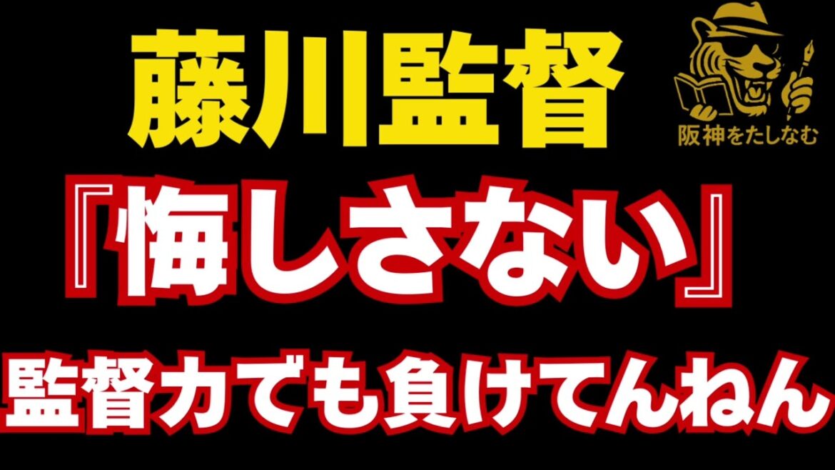 少し荒ぶってるので気になる方は見ないで下さい‼️悔しいよ‼️ソフトバンクに勝ちたいよ　10/阪神対ソフトバンク#阪神タイガース  ＃#試合考察  #藤川監督 #阪神今日の試合#日本シリーズ