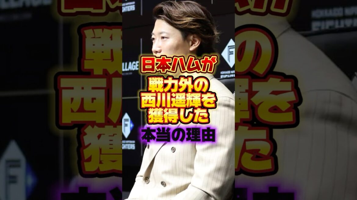 日本ハムが戦力外の西川遥輝を獲得した本当の理由 #プロ野球 #野球 #shorts 日本ハムが戦力外の西川遥輝を獲得した本当の理由 #プロ野球 #野球 #shorts