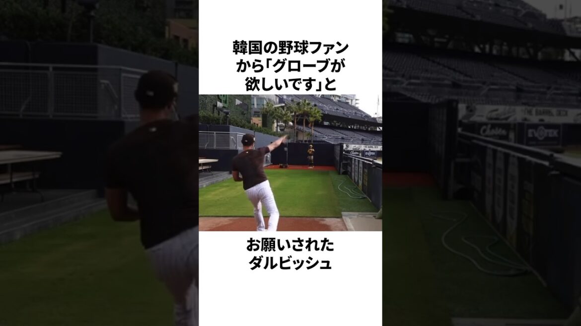「韓国人ファンにグローブが欲しいと頼まれた」ダルビッシュ有についての雑学　#プロ野球 #野球 #npb