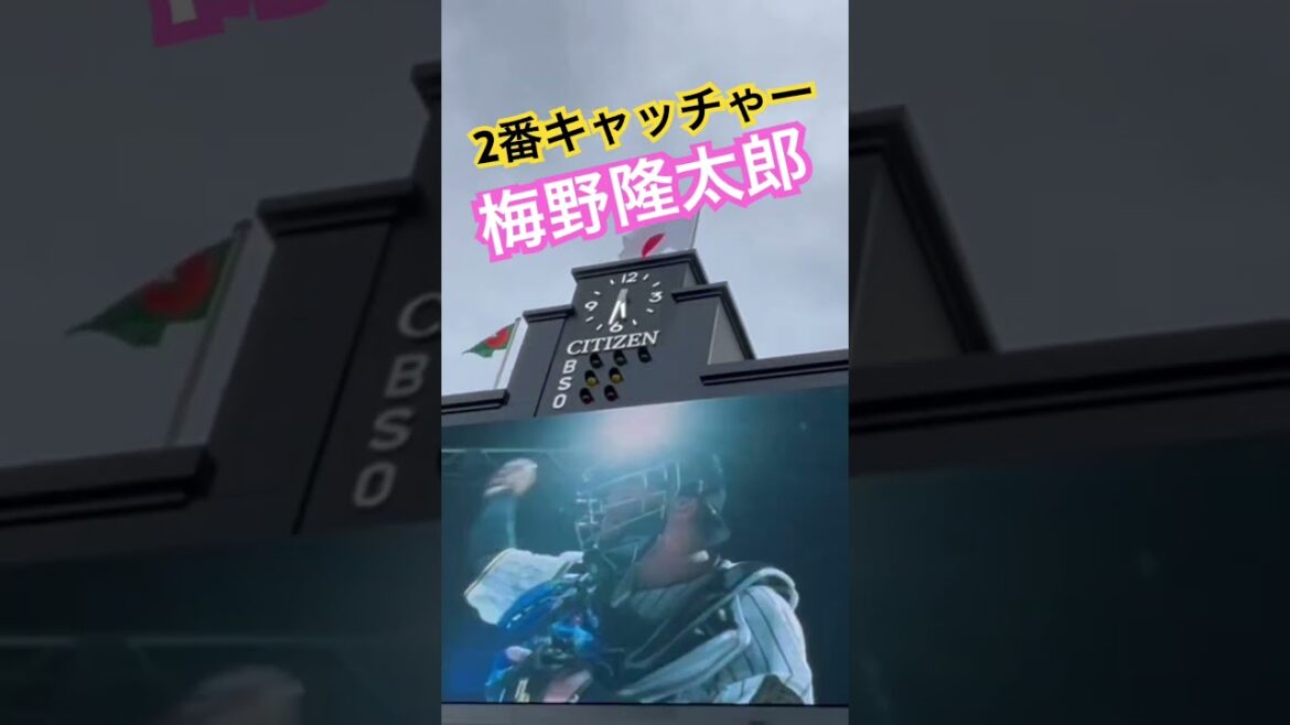 #阪神 #梅野隆太郎 #阪神応援 #阪神タイガース #hanshintigers #hanshin #tigers