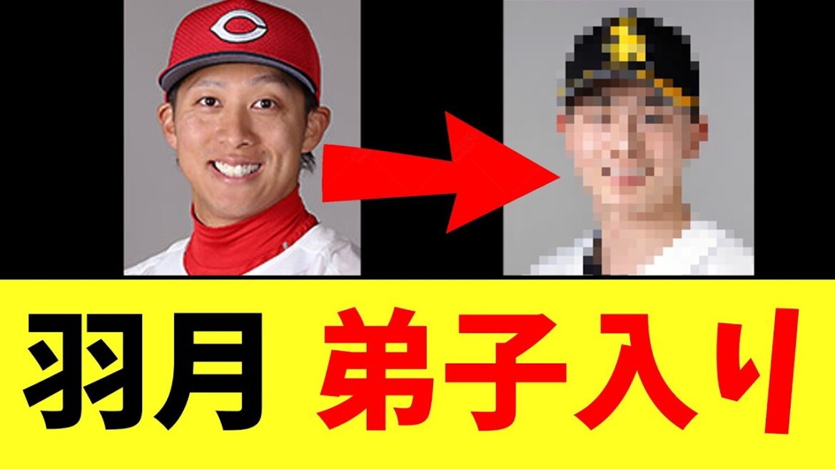 【カープ速報】羽月、弟子入り