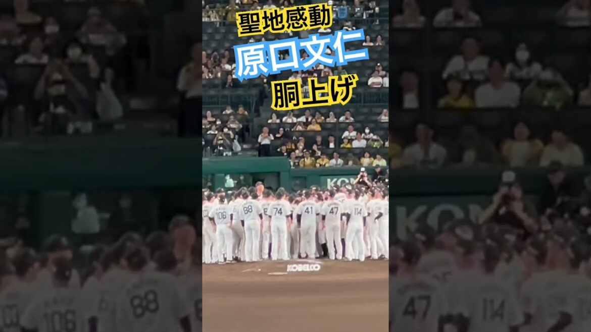 #阪神 #原口文仁  #引退試合 #引退 #阪神タイガース 原口 #阪神タイガース #hanshintigers #阪神甲子園球場 #甲子園 #阪神応援 #hanshin #tigers