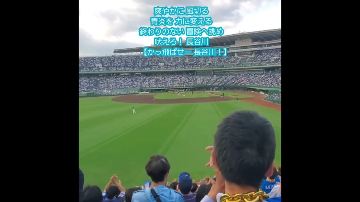 20250531　試合前から爽やかに流れる【長谷川信哉 応援歌】　#shorts　埼玉西武ﾗｲｵﾝｽﾞ@ほっともっとﾌｨｰﾙﾄﾞ神戸･ﾚﾌﾄ外野