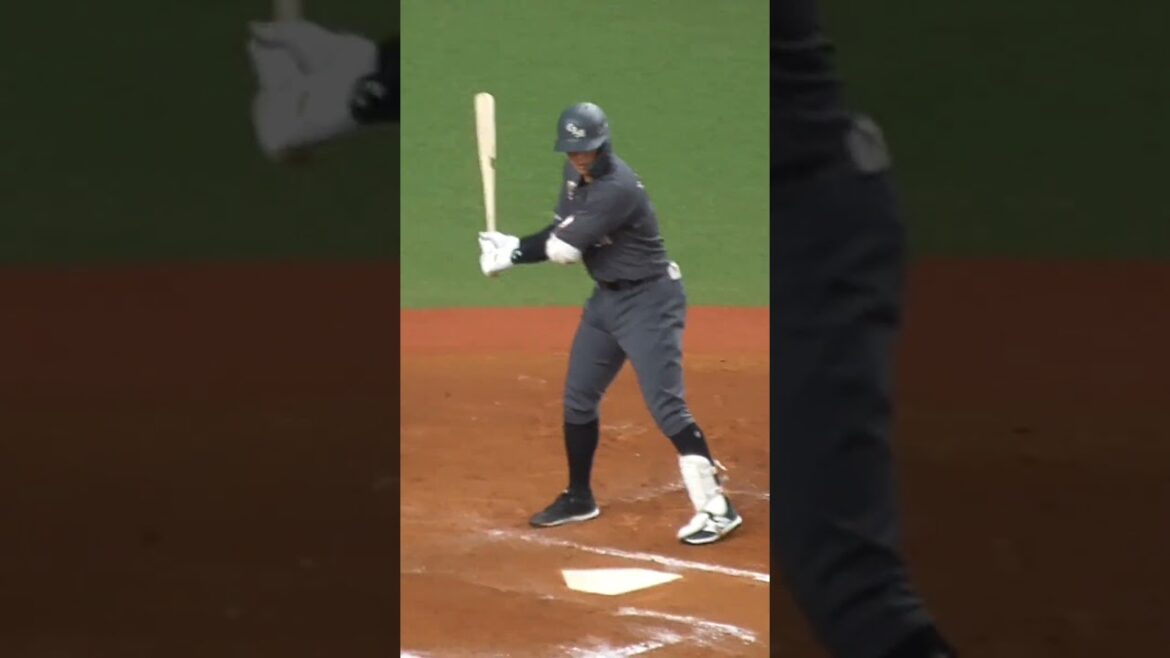 中村 奨吾　'25シーズンは怪我の影響で20試合出場にとどまる　#千葉ロッテマリーンズ #shorts