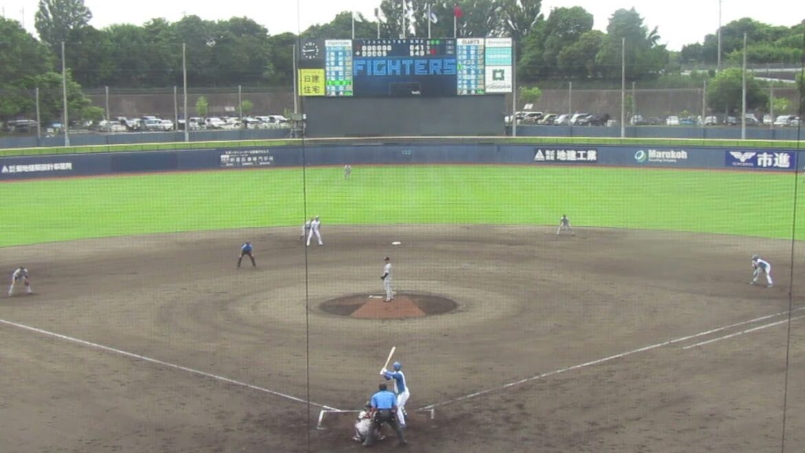 ジャイアンツ鈴木康平から四球選ぶファイターズ石井一成＜日本ハムファイターズ対 読売ジャイアンツ2024年6月25日＞