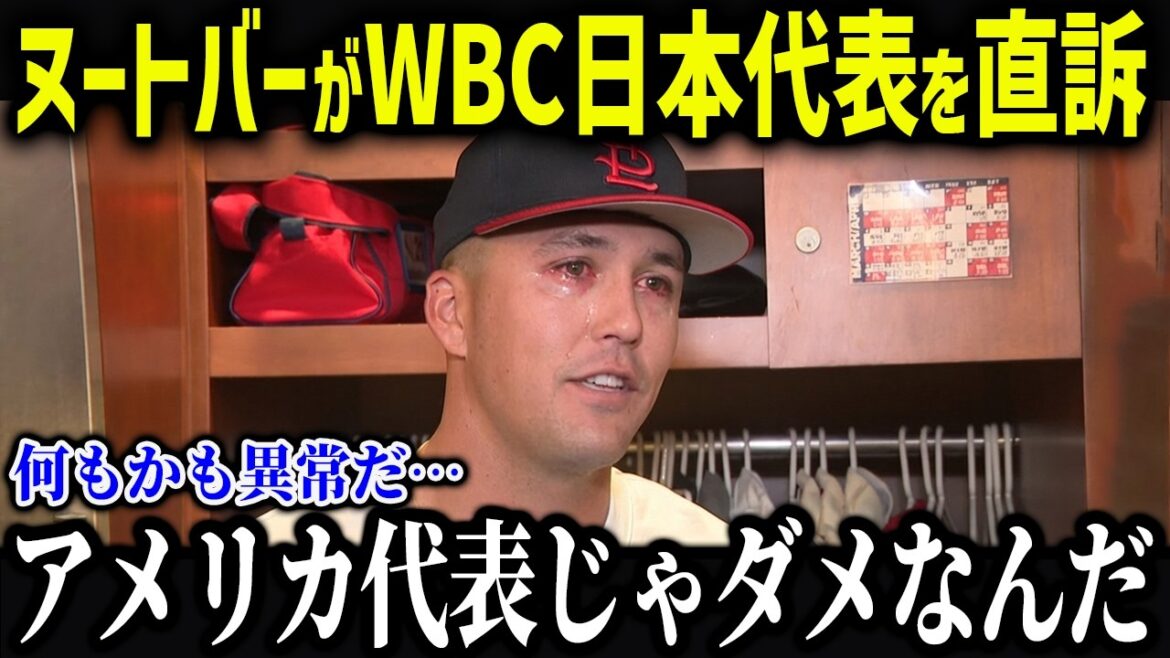 ヌートバーがWBC日本代表を志願？！「翔平と野球がしたんだ…」ヌートバーが明かした日本代表と大谷への本音に驚愕！【海外の反応/MLB/メジャー/野球】