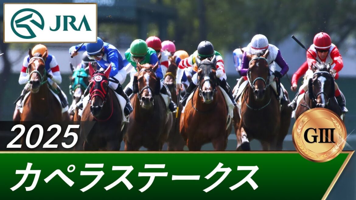 2025年 カペラステークス(GⅢ) | 第18回 | JRA公式 2025年 カペラステークス(GⅢ) | 第18回 | JRA公式