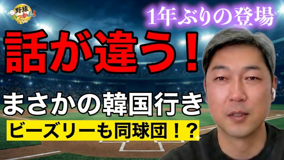 【緊急対談】金村暁が韓国ロッテコーチ就任を決めた本当の理由／「阪神は間違いなく連覇する」その根拠とは