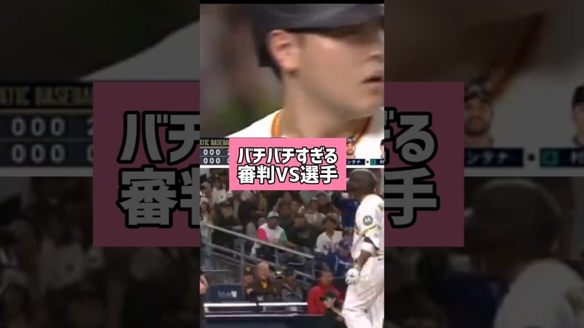 バチバチすぎる審判VS選手 #プロ野球 #喧嘩 #baseball