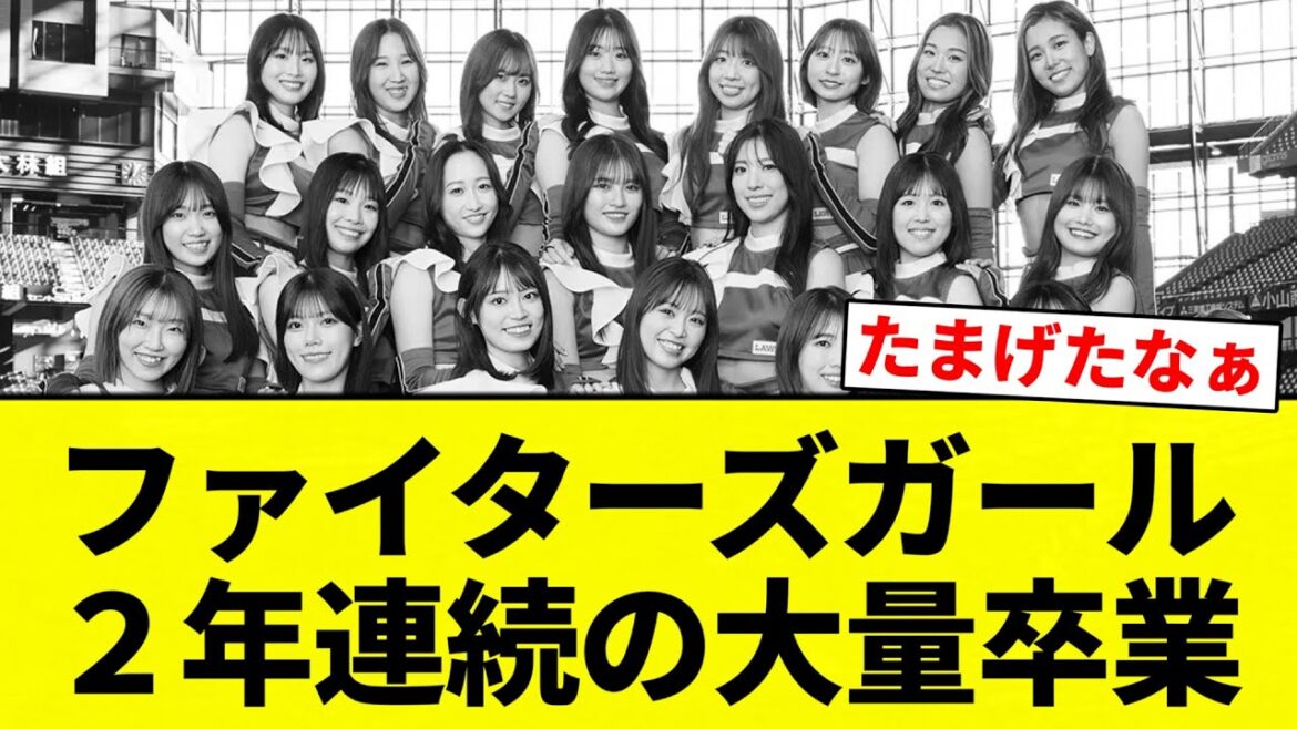 【しっぽ ビンビンだったな】ファイターズガール ２年連続の大量卒業【プロ野球反応集】【2chスレ】【なんG】