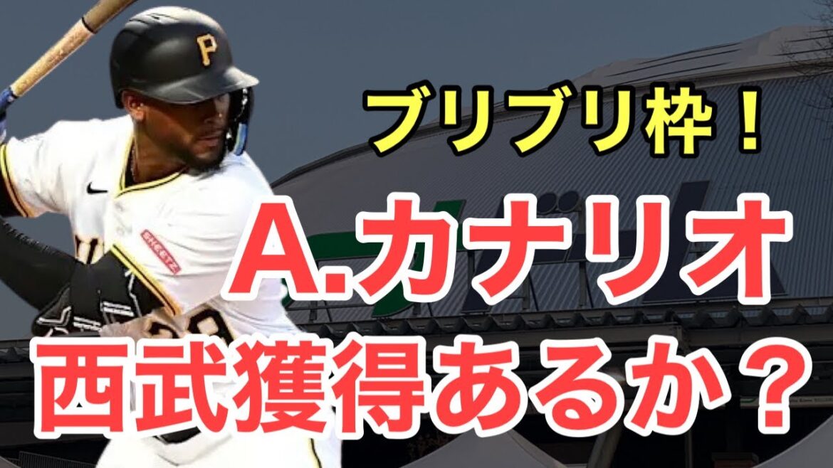 【西武】パリーグ球団と契約！アレクサンダー・カナリオ！獲得はあるか？