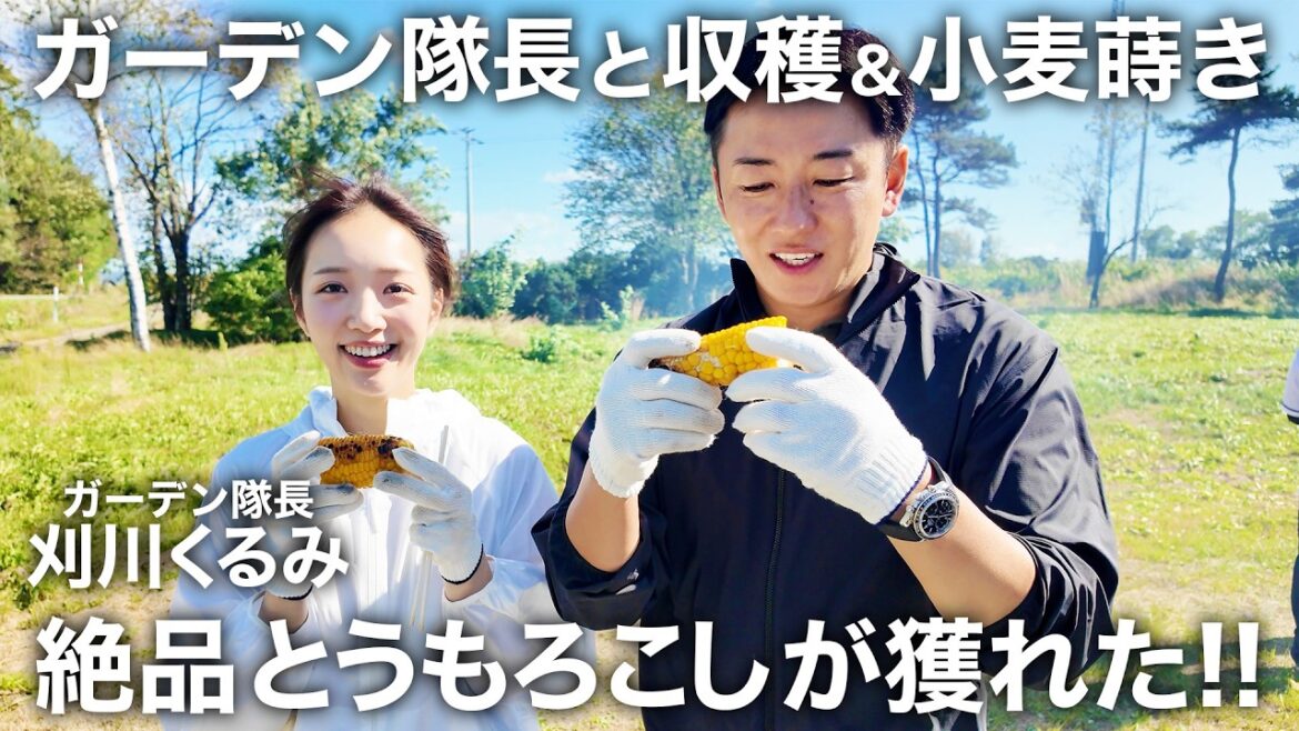 ガーデン隊長再登場!! とうもろこし&メロン収穫&小麦蒔き ガーデン隊長再登場!! とうもろこし&メロン収穫&小麦蒔き