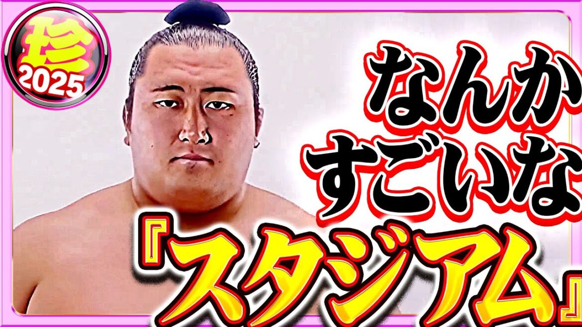 【インパクト強】楽しいが詰まったスタジアム【珍プレー2025】