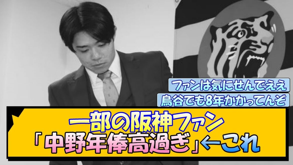 一部の阪神ファン「中野年俸高過ぎ」←これ