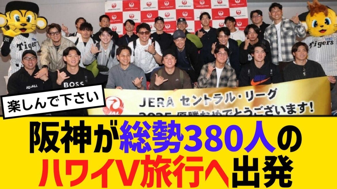 阪神が総勢380人のハワイV旅行へ出発!藤川監督「アメリカでは上下関係はないです」【野球】【反応】【考察】 阪神が総勢380人のハワイV旅行へ出発!藤川監督「アメリカでは上下関係はないです」【野球】【反応】【考察】