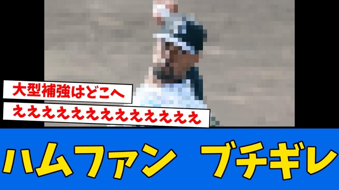 【補強】日ハムフロント、とんでもない決断をする...