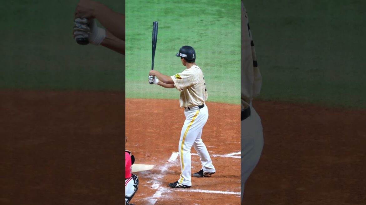 バッター 尾形崇斗 #39▶普段は基本立つことのないリリーフピッチャーのPayPayドーム打席姿▶ファンフェス2025バリタカ球宴紅白戦▶︎福岡ソフトバンクホークス バッター 尾形崇斗 #39▶普段は基本立つことのないリリーフピッチャーのPayPayドーム打席姿▶ファンフェス2025バリタカ球宴紅白戦▶︎福岡ソフトバンクホークス