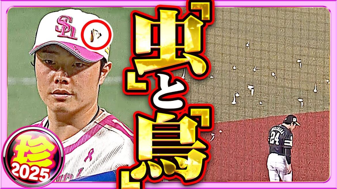 【奴らは、そう】虫と鳥と鳥と虫と虫と鳥【珍プレー2025】