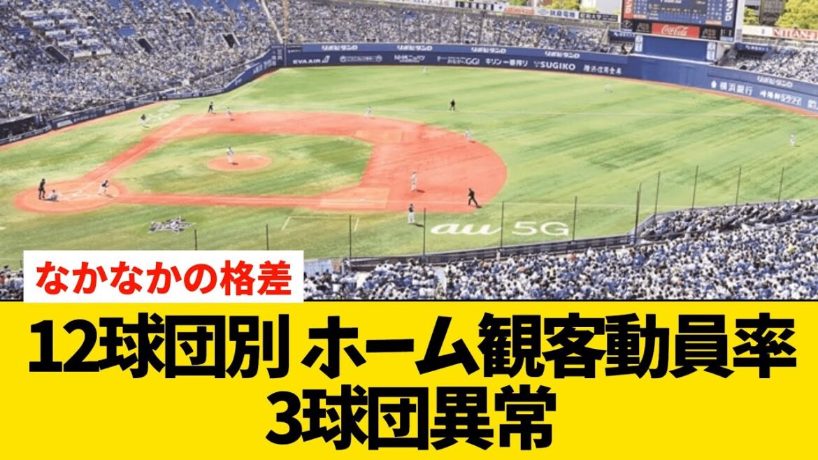 12球団本拠地、観客動員率ランキングがやばい【プロ野球】