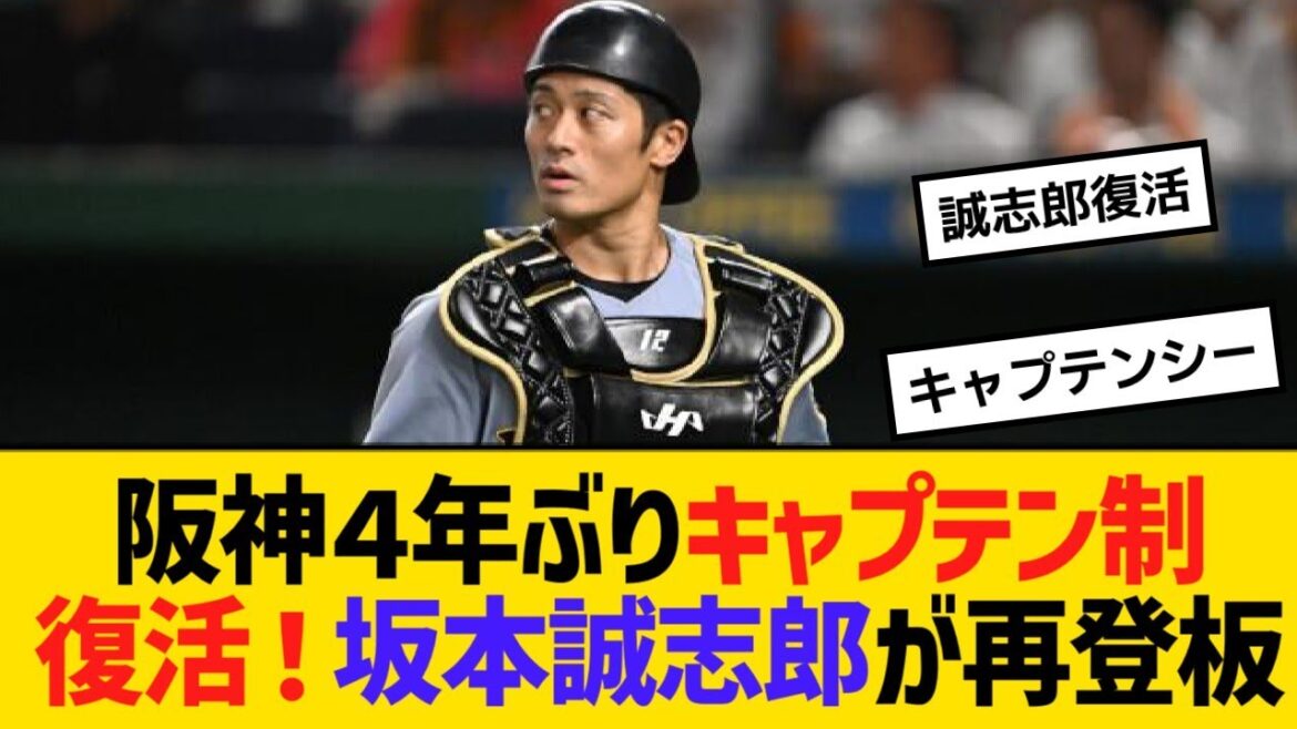 阪神４年ぶりキャプテン制復活！坂本誠志郎が再登板！サブキャプテンに中野拓夢【野球】【反応】【考察】
