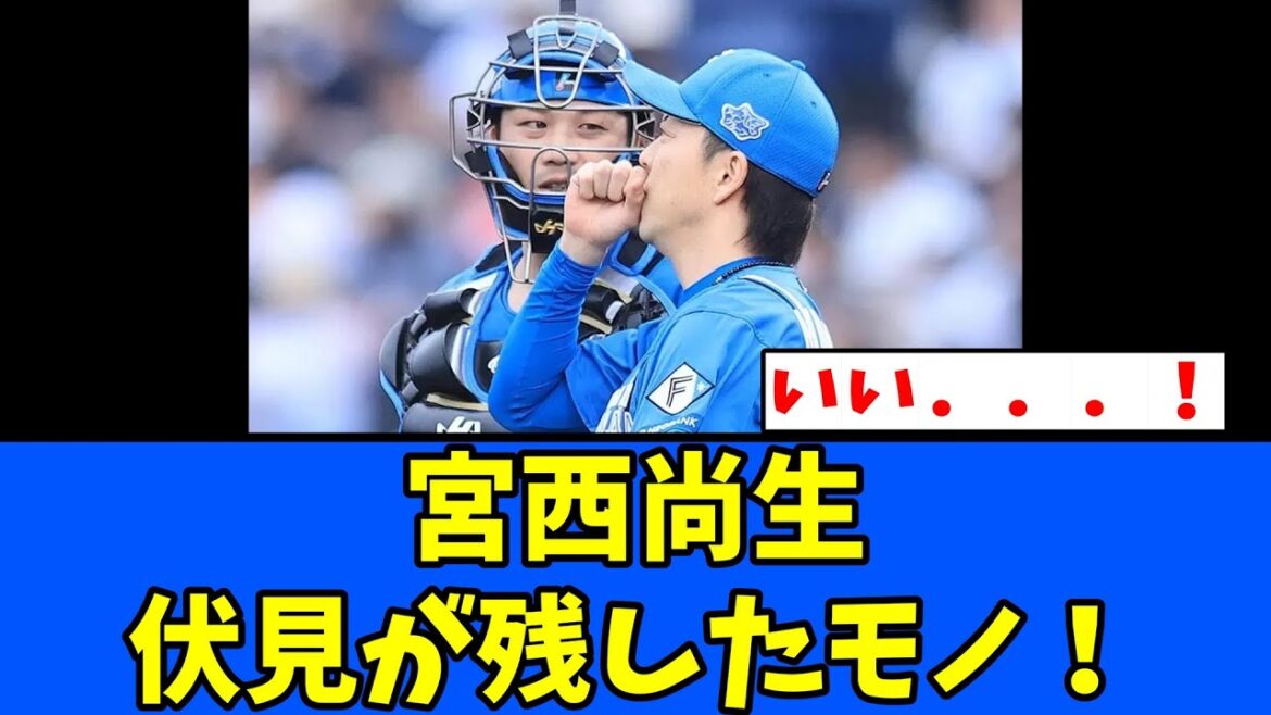 【財産】宮西尚生、伏見が残したモノについて! 【財産】宮西尚生、伏見が残したモノについて!