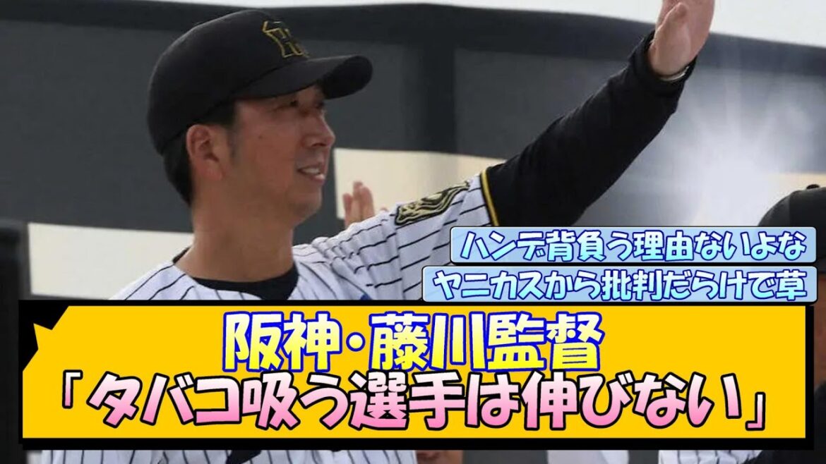 阪神・藤川監督「タバコ吸う選手は伸びない」 阪神・藤川監督「タバコ吸う選手は伸びない」