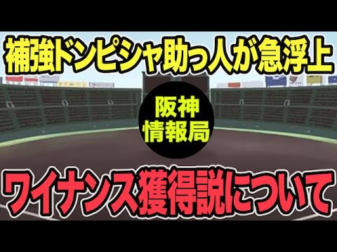 【新たな補強ドンピシャ候補が急浮上】噂の助っ人アラン・ワイナンス獲得の可能性を徹底考察【阪神タイガース】 【新たな補強ドンピシャ候補が急浮上】噂の助っ人アラン・ワイナンス獲得の可能性を徹底考察【阪神タイガース】