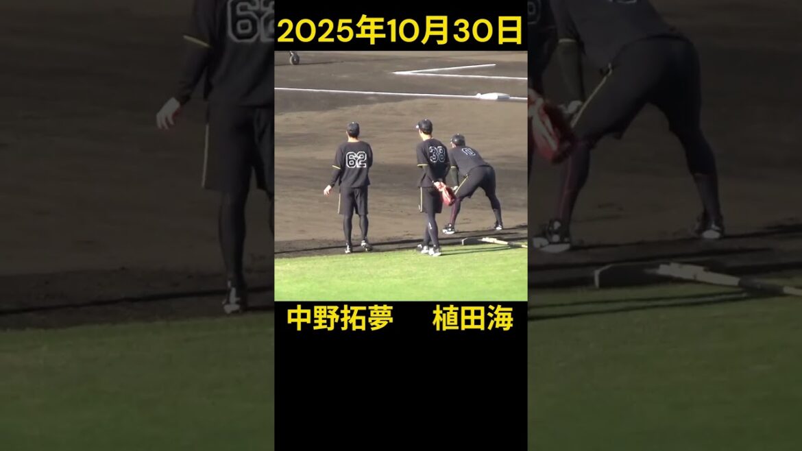 タイガース試合前練習 湯浅/中野/長坂/木浪/小幡/ヘルナンデス/植田/島本/豊田