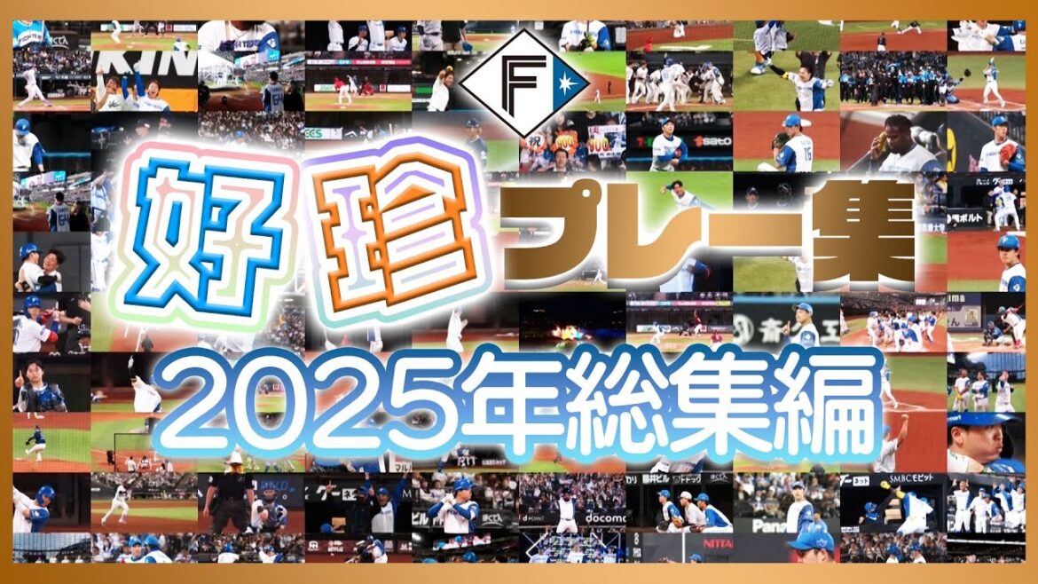 Hokkaido-Nippon-Ham-Fighters: 【ファイターズ好珍プレー集】2025総集編 大公開!【GO!GO!ファイターズ年末スペシャル】 【ファイターズ好珍プレー集】2025総集編 大公開!【GO!GO!ファイターズ年末スペシャル】