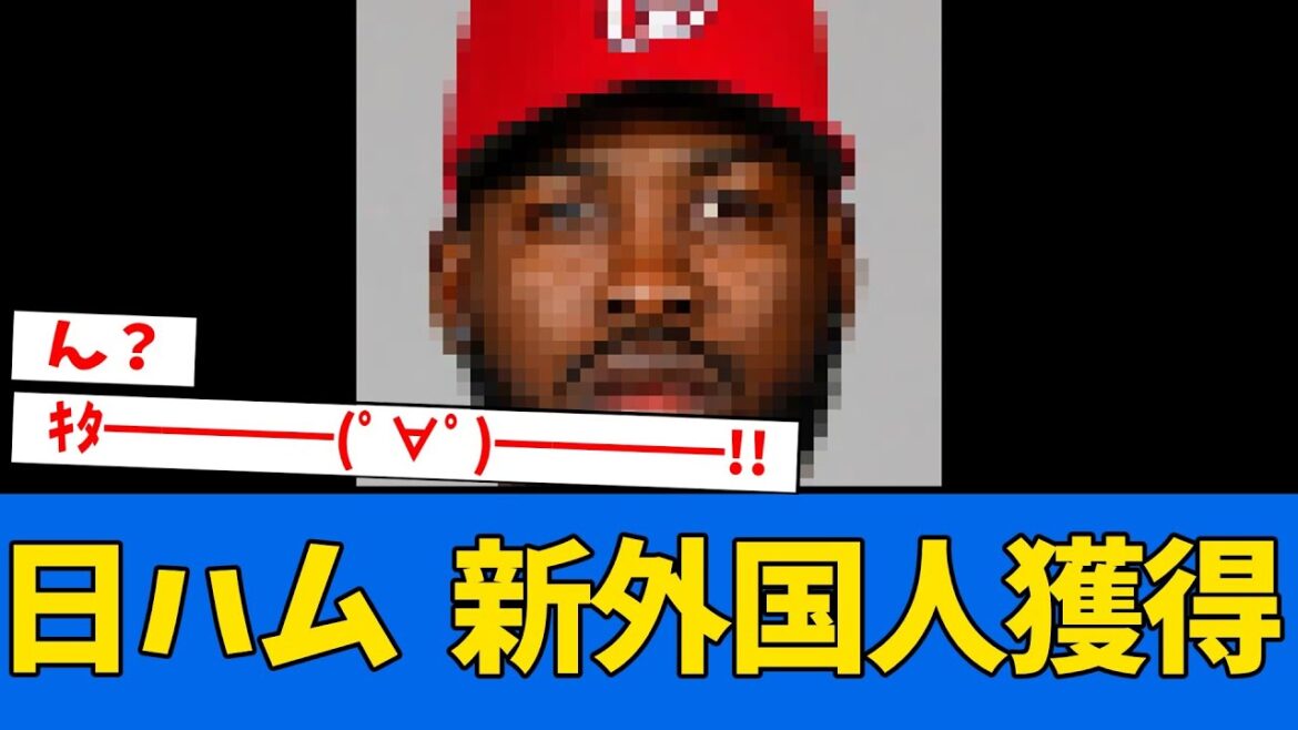 【補強】日ハム、とんでもない助っ人を獲得wwwww 【補強】日ハム、とんでもない助っ人を獲得wwwww