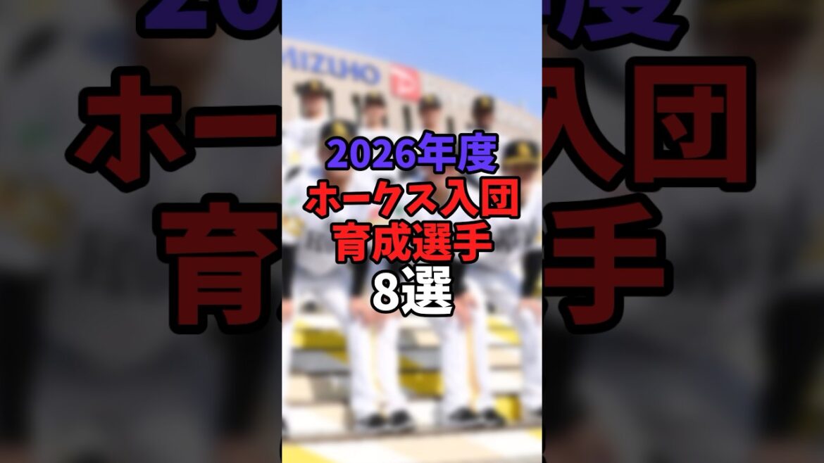 2026年度ホークス入団育成選手8選【福岡ソフトバンクホークス】