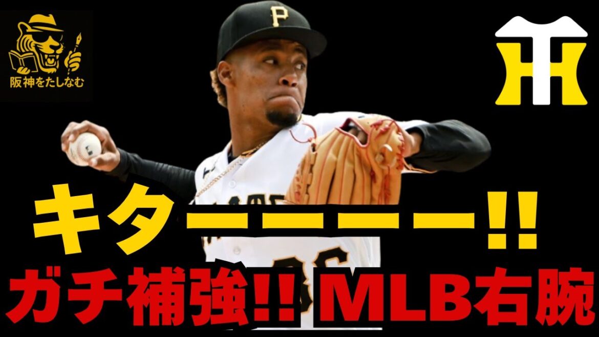 【日本一へのピース🔥】キターーー‼️‼️‼️ガチ右腕‼️ダウリ・モレッタ獲得‼️【阪神新外国人徹底考察】#阪神タイガース #阪神 新外国人#新外国人候補 2026#デバニー #ルーカス#リプシウス 【日本一へのピース🔥】キターーー‼️‼️‼️ガチ右腕‼️ダウリ・モレッタ獲得‼️【阪神新外国人徹底考察】#阪神タイガース #阪神 新外国人#新外国人候補 2026#デバニー #ルーカス#リプシウス