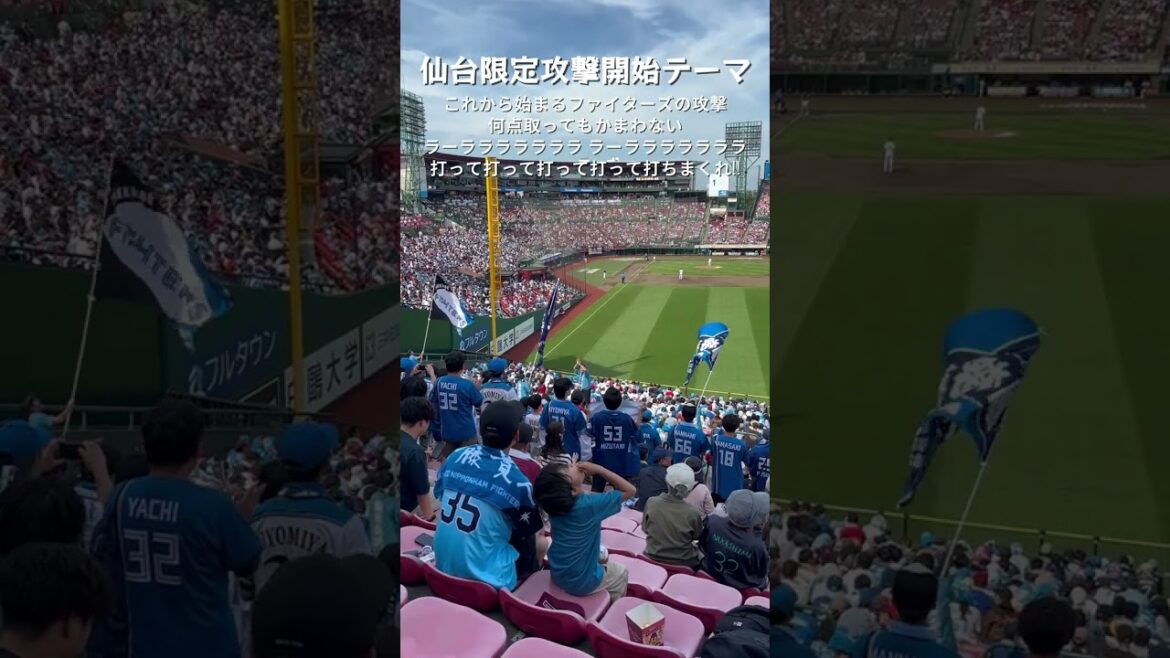 仙台限定攻撃開始テーマ(日本ハムファイターズ) #shorts #北海道日本ハムファイターズ #ファイターズ #日本ハム #日本ハムファイターズ #現地映像 #応援歌