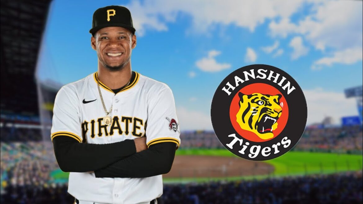 阪神が獲得 ダウリ・モレッタ (Dauri Moreta) 2025年全球種別投球