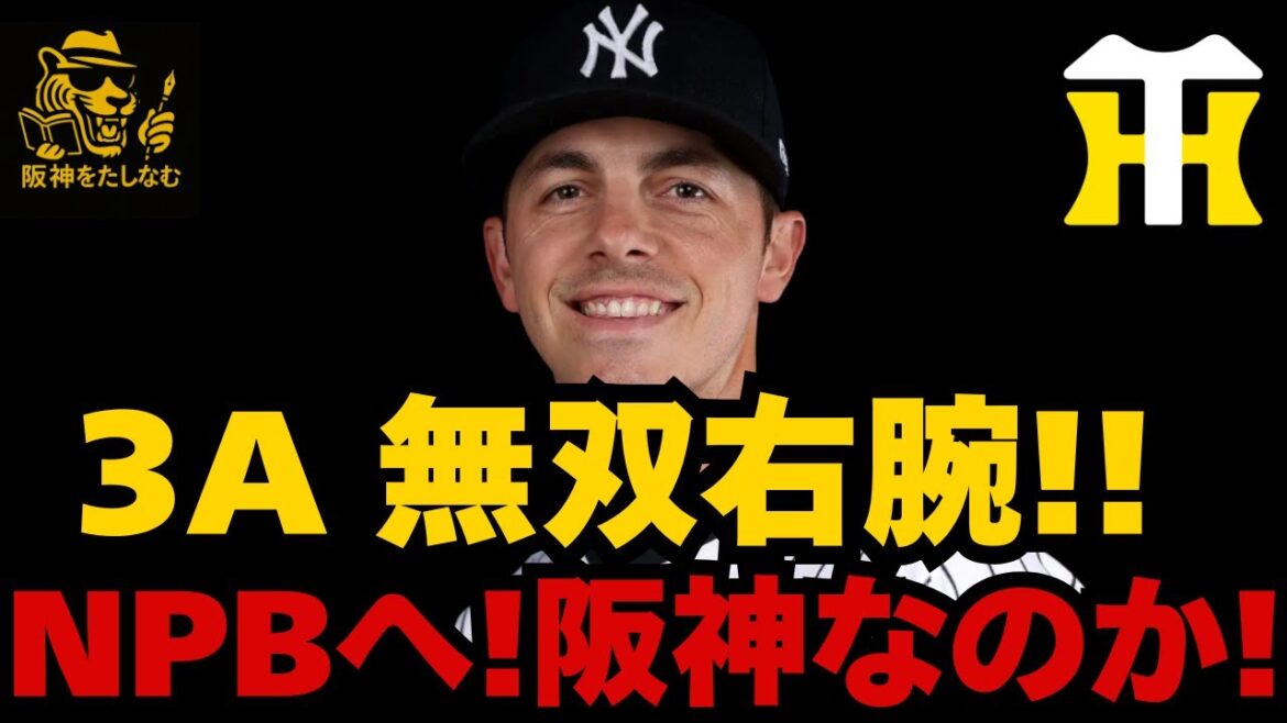【速報🔥】【阪神新外国人考察】12勝1敗先発右腕‼️アラン・ワイナンスがNPB入りへ‼️#阪神タイガース #阪神　新外国人＃新外国人候補　2026#デバニー ＃ルーカス＃アンドレ・リプシウス